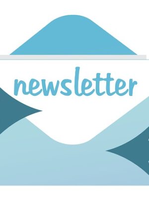 Abbonamento alla newsletter progettato su misura su WordPress (Mailchimp, GetResponse, iContact ecc.) – Modulo newsletter – Opt in Form